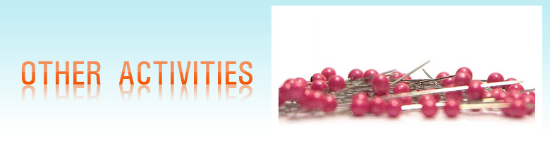 OTHER ACTIVITIES